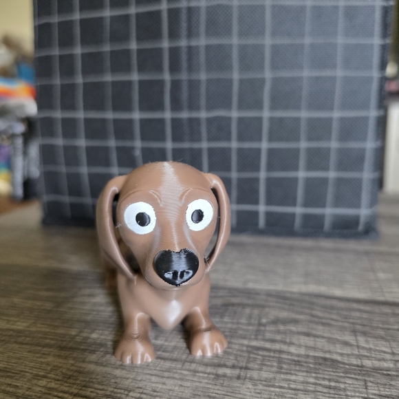 Brown dachshund - Picture 2 of 3